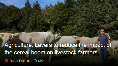 Levers to reduce the impact of the cereal boom on livestock farmers